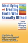 Identifying and Treating Youth Who Sexually Offend : Current Approaches, Techniques, and Research - eBook