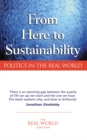 From Here to Sustainability : Politics in the Real World - eBook