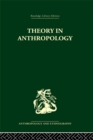 Theory in Anthropology - eBook