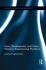 Islam, Development, and Urban Women’s Reproductive Practices - eBook