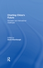 Charting China's Future : Domestic and International Challenges - eBook