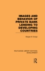 Images and Behaviour of Private Bank Lending to Developing Countries - eBook