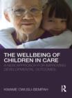 The Wellbeing of Children in Care : A New Approach for Improving Developmental Outcomes - eBook