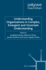 Understanding Organizations in Complex, Emergent and Uncertain Environments - eBook