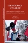 Democracy at Large : NGOs, Political Foundations, Think Tanks and International Organizations - eBook