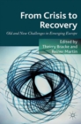 From Crisis to Recovery : Old and New Challenges in Emerging Europe - eBook