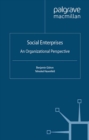 Social Enterprises : An Organizational Perspective - eBook