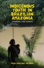 Indigenous Youth in Brazilian Amazonia : Changing Lived Worlds - eBook