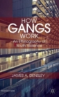 How Gangs Work : An Ethnography of Youth Violence - Book