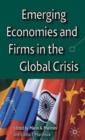 Emerging Economies and Firms in the Global Crisis - Book