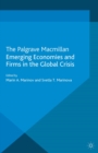 Emerging Economies and Firms in the Global Crisis - eBook