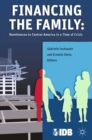 Financing the Family : Remittances to Central America in a Time of Crisis - eBook