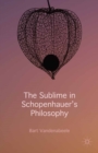 The Sublime in Schopenhauer's Philosophy - eBook