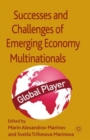 Successes and Challenges of Emerging Economy Multinationals - Book