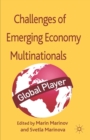 Successes and Challenges of Emerging Economy Multinationals - eBook