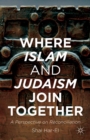 Where Islam and Judaism Join Together : A Perspective on Reconciliation - eBook