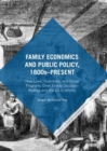 Family Economics and Public Policy, 1800s-Present : How Laws, Incentives, and Social Programs Drive Family Decision-Making and the US Economy - Book