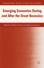Emerging Economies During and After the Great Recession - Book