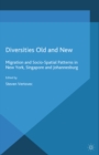 Diversities Old and New : Migration and Socio-Spatial Patterns in New York, Singapore and Johannesburg - eBook