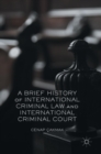 A Brief History of International Criminal Law and International Criminal Court - Book