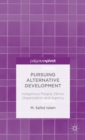 Pursuing Alternative Development : Indigenous People, Ethnic Organization and Agency - Book