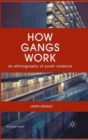 How Gangs Work : An Ethnography of Youth Violence - Book