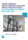 Simultaneous Sulfate Reduction and Metal Precipitation in an Inverse Fluidized Bed Reactor : UNESCO-IHE PhD Thesis - Book
