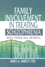 Family Involvement in Treating Schizophrenia : Models, Essential Skills, and Process - Book