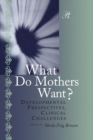 What Do Mothers Want? : Developmental Perspectives, Clinical Challenges - Book