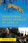 Industrial Development in Africa : Mapping Industrialization Pathways for a Leaping Leopard - Book
