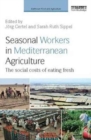 Seasonal Workers in Mediterranean Agriculture : The Social Costs of Eating Fresh - Book