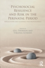Psychosocial Resilience and Risk in the Perinatal Period : Implications and Guidance for Professionals - Book