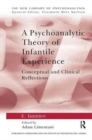 A Psychoanalytic Theory of Infantile Experience : Conceptual and Clinical Reflections - Book
