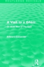 A Visit to a Gnani : Or Wise Man of the East - Book