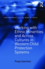 Working with Ethnic Minorities and Across Cultures in Western Child Protection Systems - Book
