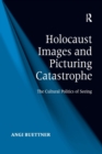 Holocaust Images and Picturing Catastrophe : The Cultural Politics of Seeing - Book