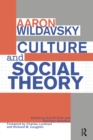 Culture and Social Theory - Book