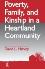 Poverty, Family, and Kinship in a Heartland Community - Book