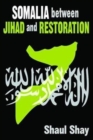 Somalia Between Jihad and Restoration - Book