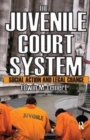 The Juvenile Court System : Social Action and Legal Change - Book