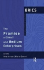 The Promise of Small and Medium Enterprises : BRICS National Systems of Innovation - Book