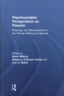 Psychoanalytic Perspectives on Passion : Meanings and Manifestations in the Clinical Setting and Beyond - Book