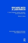 Escape into a Labyrinth : F. Scott Fitzgerald, Catholic Sensibility, and the American Way - Book