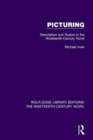 Picturing : Description and Illusion in the Nineteenth Century Novel - Book