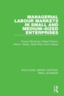 Managerial Labour Markets in Small and Medium-Sized Enterprises - Book