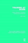 Training at Work : Critical Analysis of Workplace Training and Development - Book