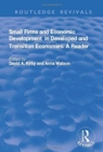 Small Firms and Economic Development in Developed and Transition Economies : A Reader - Book
