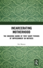 Incarcerating Motherhood : The Enduring Harms of First Short Periods of Imprisonment on Mothers - Book