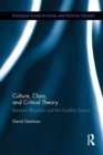 Culture, Class, and Critical Theory : Between Bourdieu and the Frankfurt School - Book