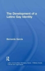The Development of a Latino Gay Identity - Book